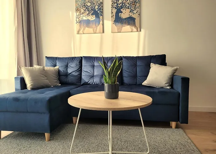 Apartament Korczaka 6
