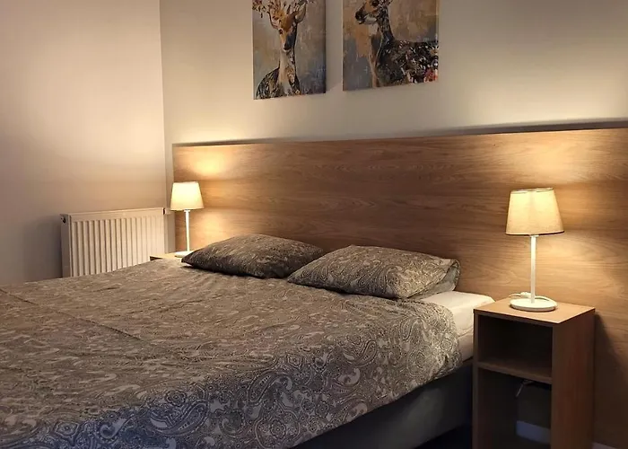 Apartament Korczaka 6
