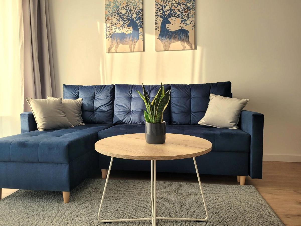 Korczaka 6 *