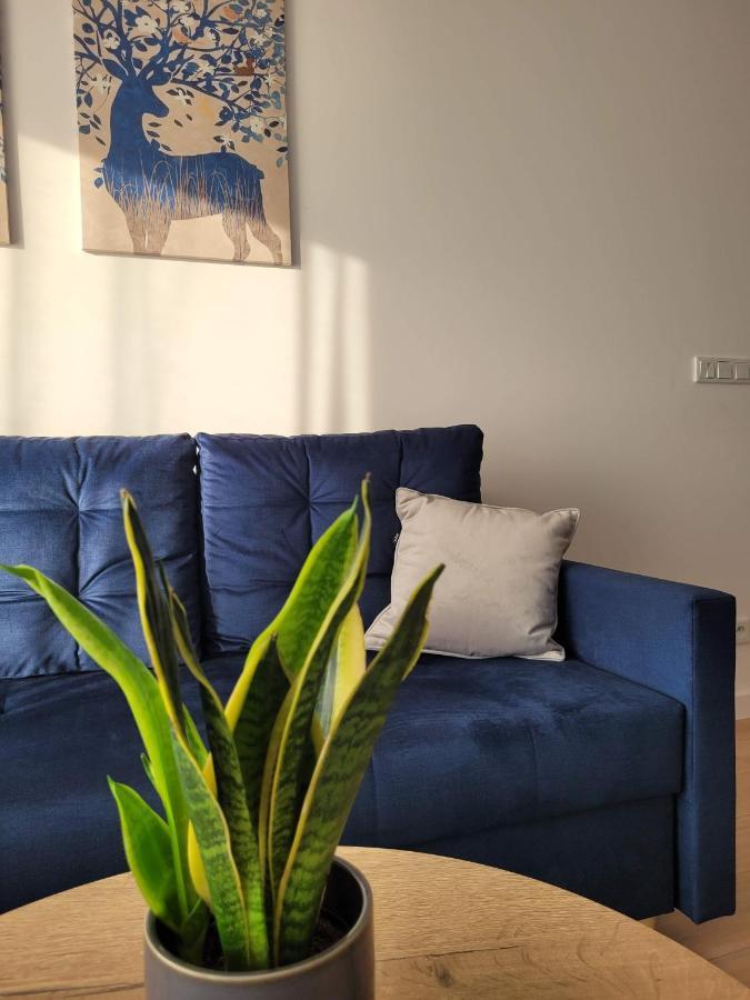 Korczaka 6 Apartamento